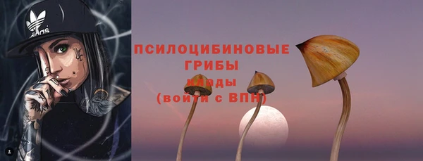 дурь Богданович