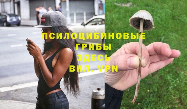 ГАЛЛЮЦИНОГЕННЫЕ ГРИБЫ Богородицк