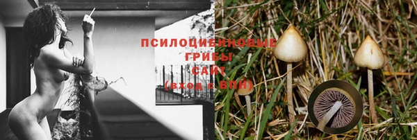 СК Балабаново