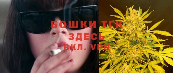 дурь Богданович